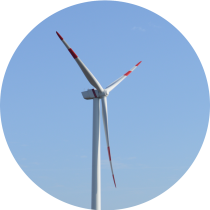 Schlagopfermonitoring von Fledermäusen und Vögeln an Windenergieanlagen